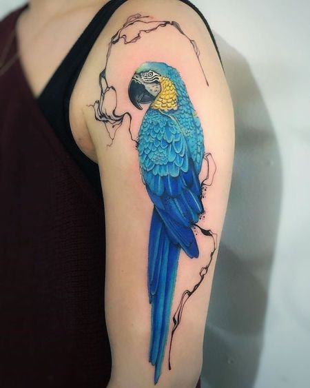 Blue Parrot Tattoos