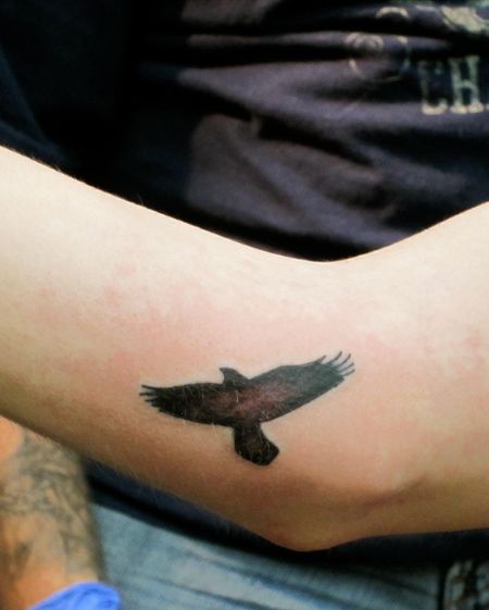 Elbow Hawk Tattoos