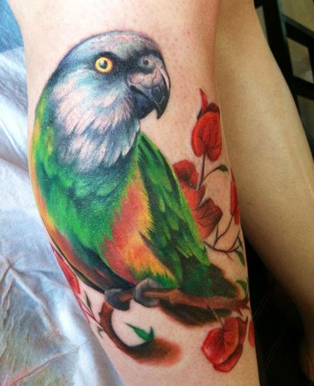 Green Parrot Tattoos