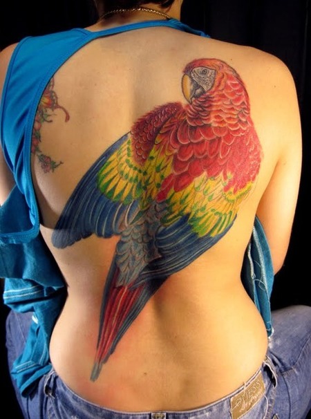 Parrot Back Tattoos