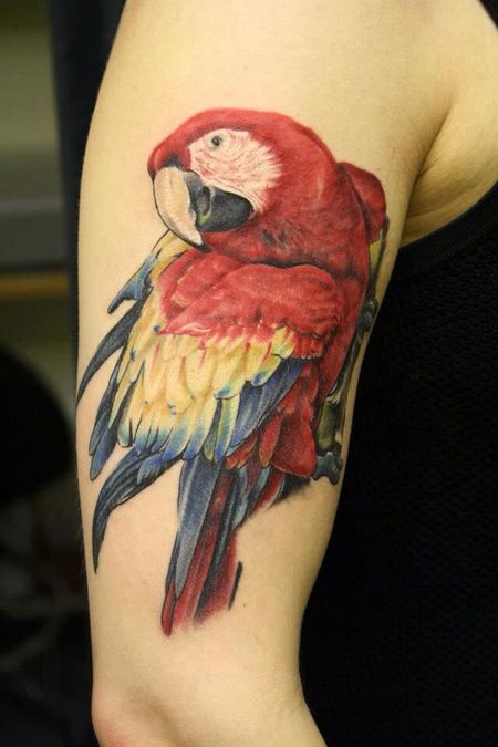 Red Parrot Tattoos