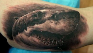 Shark Tattoos