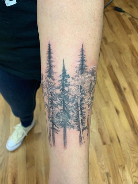 Aspen Tree Tattoo