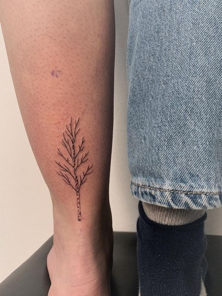 Birch Tree Tattoo