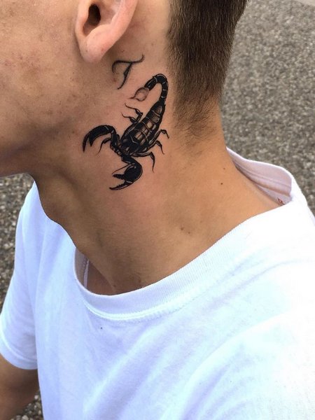 Scorpion Tattoos For Men