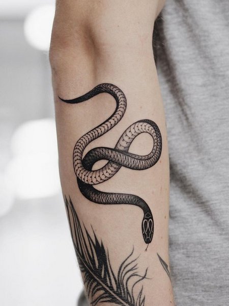 Temporary Snake Tattoo
