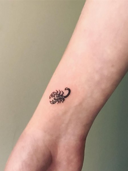 Tiny Scorpion Tattoo
