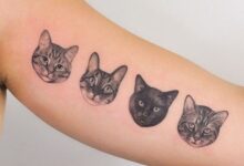 Cat Tattoos