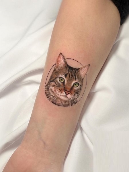 Realistic Cat Tattoo