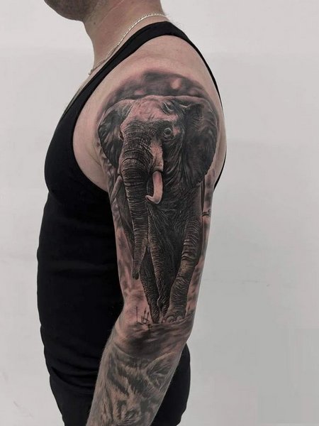 Realistic Elephant Tattoo