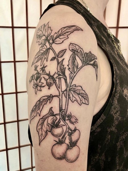 Tomato Plant Tattoo